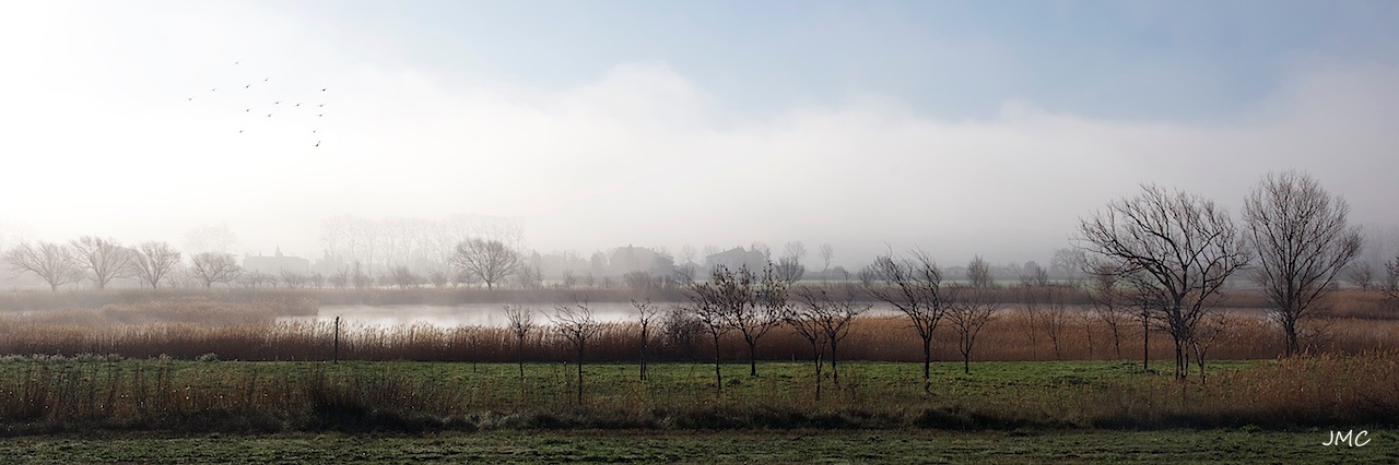 Homps dans la brume Homps dans la brume